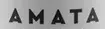 Logo Amata